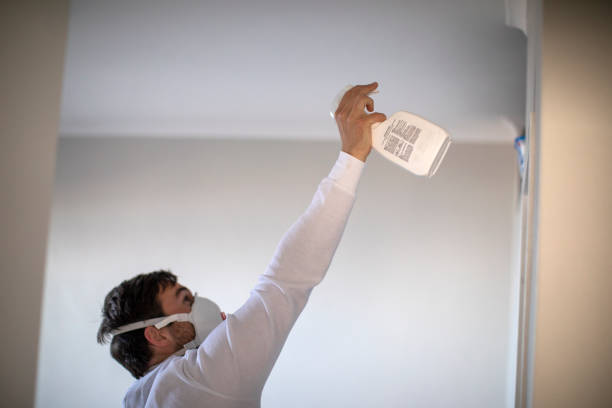 Best Residential Mold Remediation in Kaukauna, WI