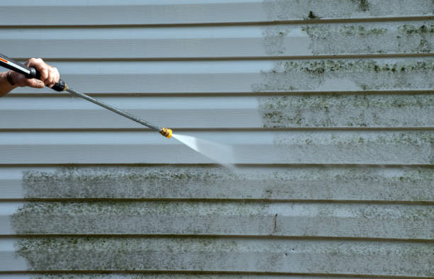 Professional Mold Remediation in Kaukauna, WI